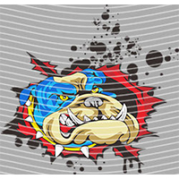 Cartoons and other-CO 1343